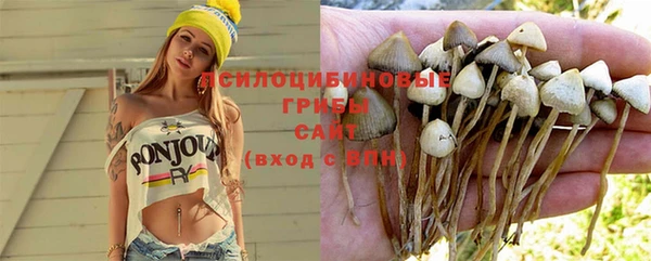 прущая мука Мегион