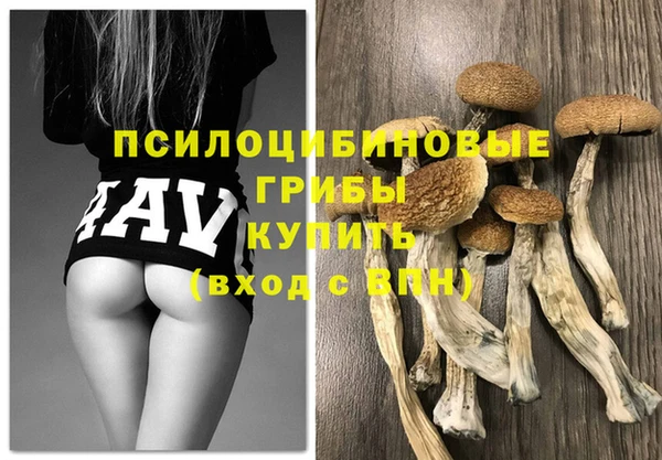 синтетический гашиш Медногорск
