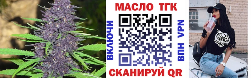 закладка  Железногорск  ТГК Wax 