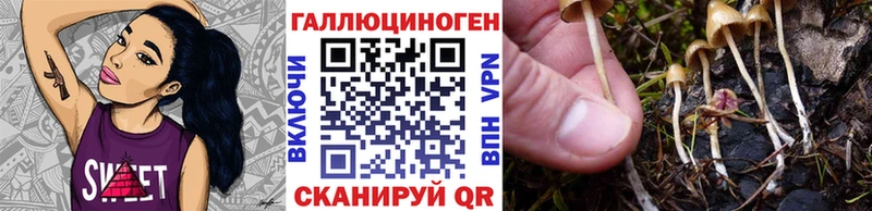 Галлюциногенные грибы ЛСД Железногорск
