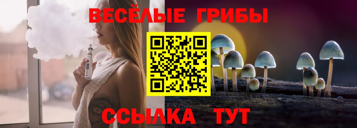 Железногорск  Галлюциногенные грибы мицелий  Вход с VPN  сколько стоит  Псилоцибиновые грибы Magic Shrooms 