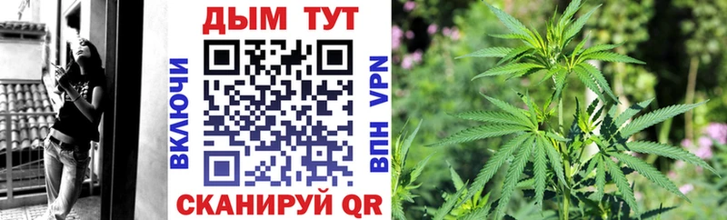 дарк нет официальный сайт  Железногорск  Бошки марихуана LSD WEED 