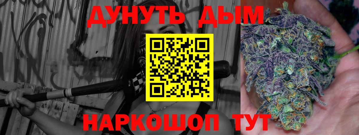Каннабис планчик  МАРИХУАНА ГИДРОПОН  Вход с VPN  Железногорск  Марихуана Amnesia  Бошки марихуана индика 